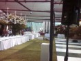/album/fotogaleria%3a-%c2%bfquienes-somos-/foto-0033-jpg/